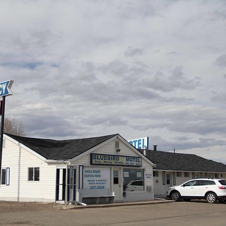 Innisfail Bluebird Motel מראה חיצוני תמונה
